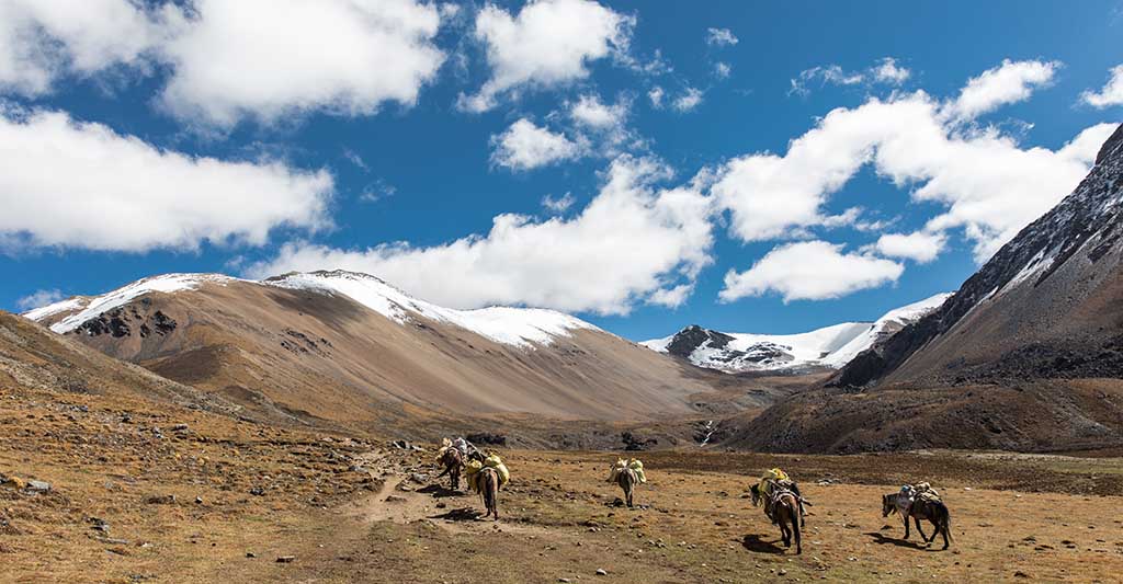 Jigme Dorji National Park