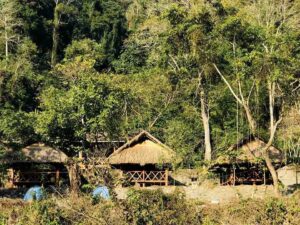 Stay at Jungle camp in your visit to Royal Manas National Park