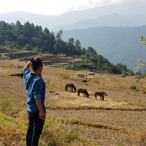 Ten Things To Do in Punakha