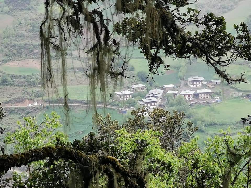 Genekha Village the Starting Point of Dagala Thousand Lakes Trek
