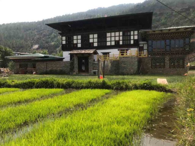 Tshering Farm house stay in Paro