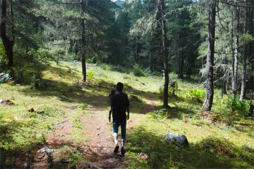 Hike in Phobjikha valley