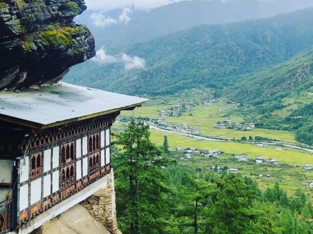 Best time to visit Bhutan For verdant paddy fields