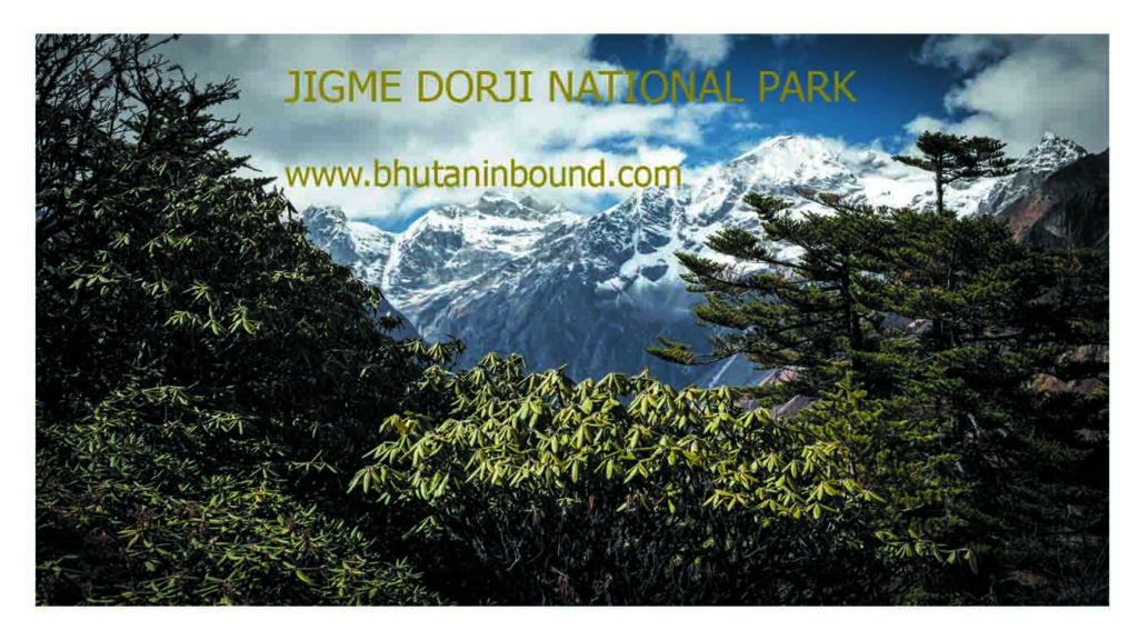 Jigme Dorji National Park Bhutan