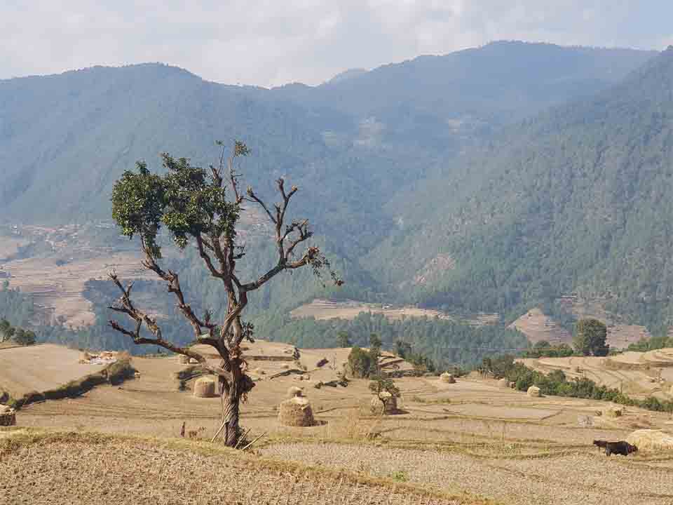 Explore beautiful villages in trans Bhutan trail