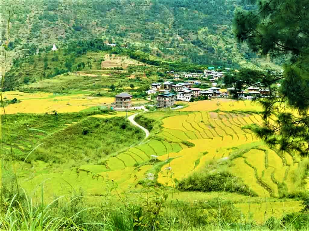 Bhutan Phallus village