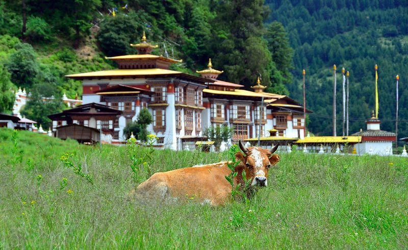 Khuru Bhutan